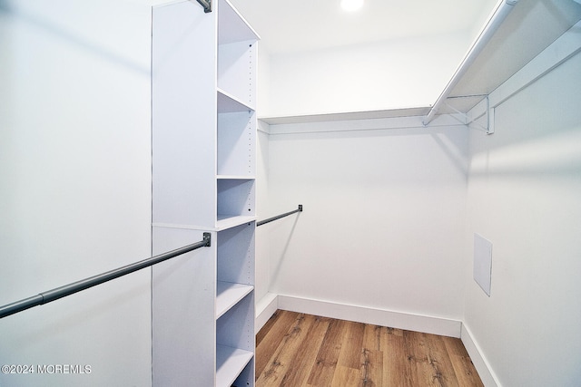 spacious closet featuring hardwood / wood-style floors