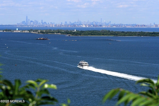 3 Black Point Horseshoe St, Rumson, NJ 07760 - water view with skyline