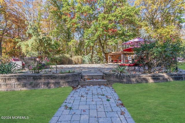 view of yard featuring a patio area