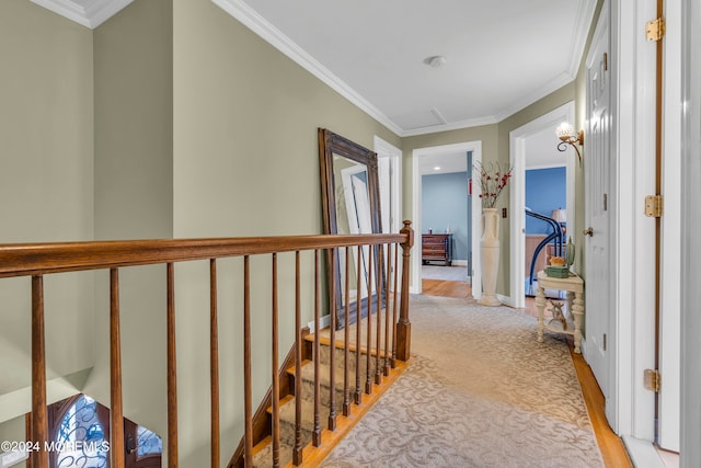 corridor featuring light hardwood / wood-style floors and crown molding