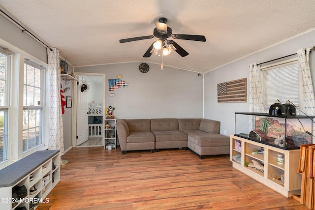 living room featuring lofted ceiling, a textured ceiling, and light hardwood / wood-style flooring