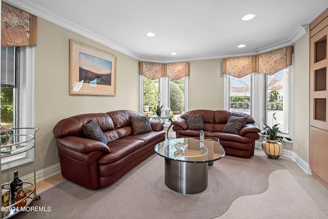 living room featuring crown molding