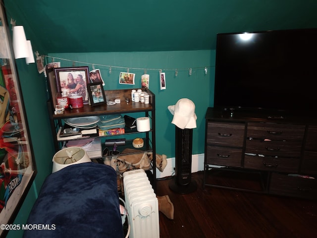 bedroom with radiator, hardwood / wood-style floors, and vaulted ceiling