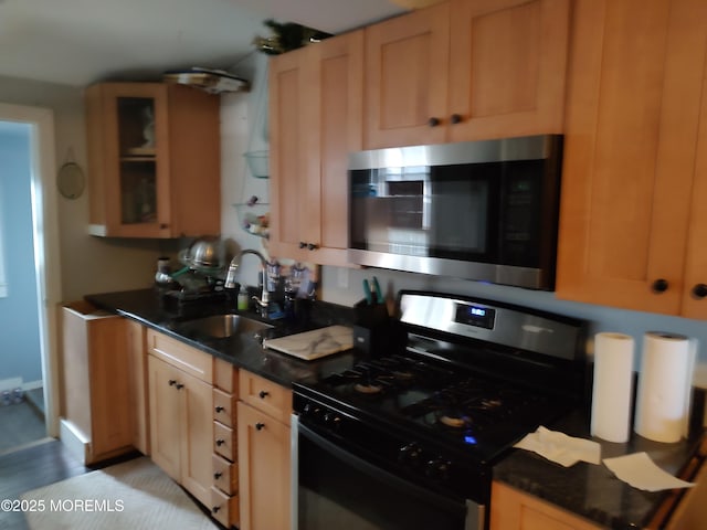 kitchen with gas stove and sink