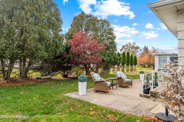 view of yard with a patio area