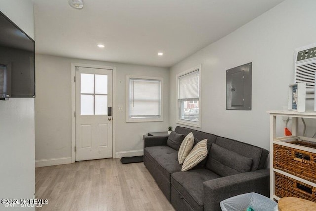 living room with electric panel, a healthy amount of sunlight, and light hardwood / wood-style floors