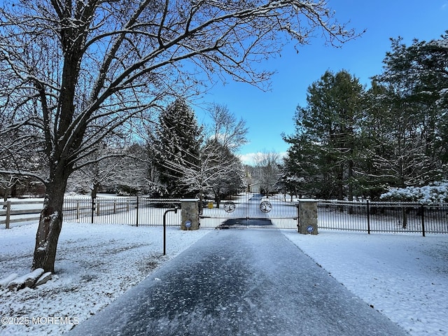 view of yard layered in snow