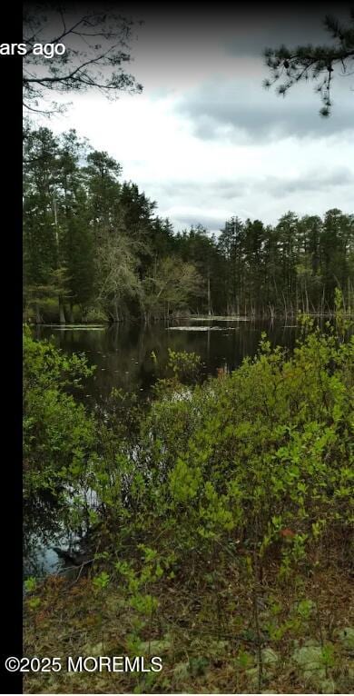 15 Alpine Rd Unit A, Whiting, NJ 08759 - view of wooded area featuring a water view