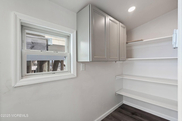 spacious closet featuring dark wood-type flooring