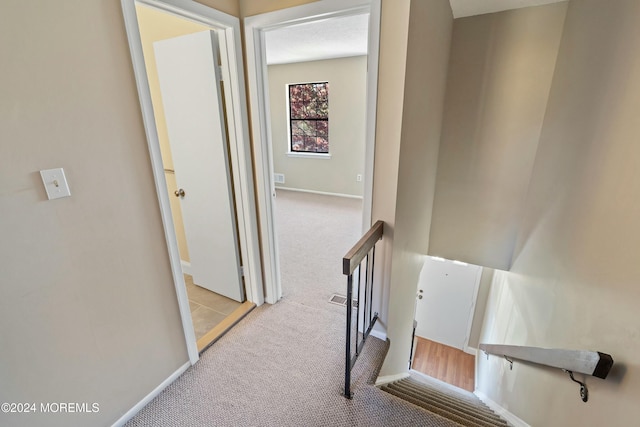 stairs with carpet floors