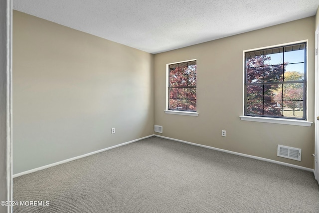 carpeted empty room with a textured ceiling