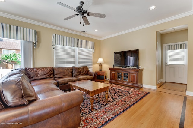 living room with ceiling fan, light wood-type flooring, and crown molding