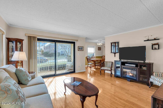 living room featuring hardwood / wood-style floors and a textured ceiling