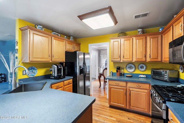 kitchen with appliances with stainless steel finishes, light wood-type flooring, and sink