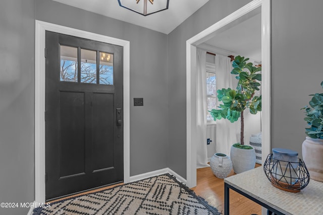 foyer entrance featuring hardwood / wood-style floors and a healthy amount of sunlight