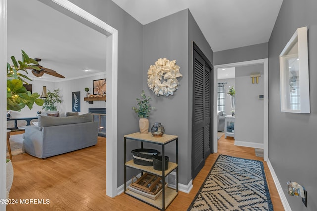 hall featuring hardwood / wood-style flooring and ornamental molding