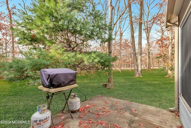 view of yard with a patio