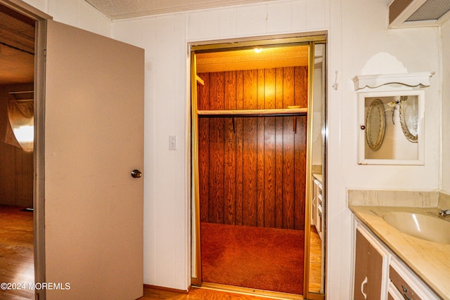 bathroom featuring wooden walls, vanity, and wood-type flooring