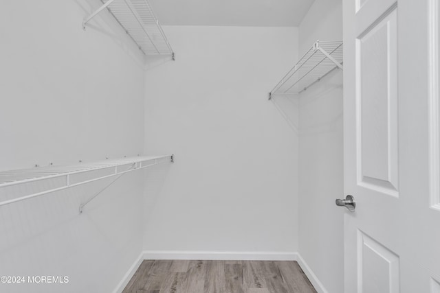 spacious closet featuring wood-type flooring