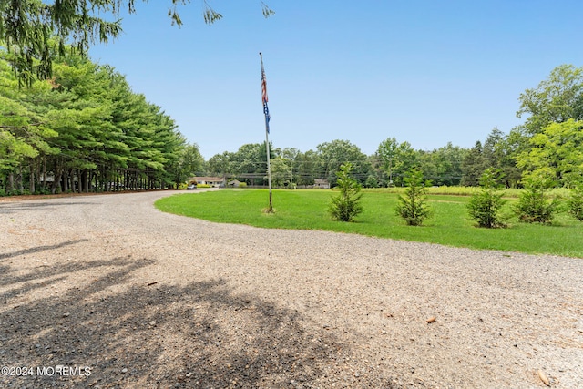 view of community with a yard