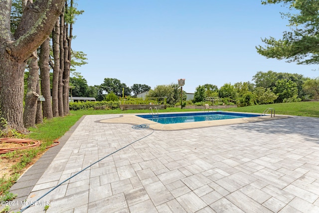 view of swimming pool featuring a patio