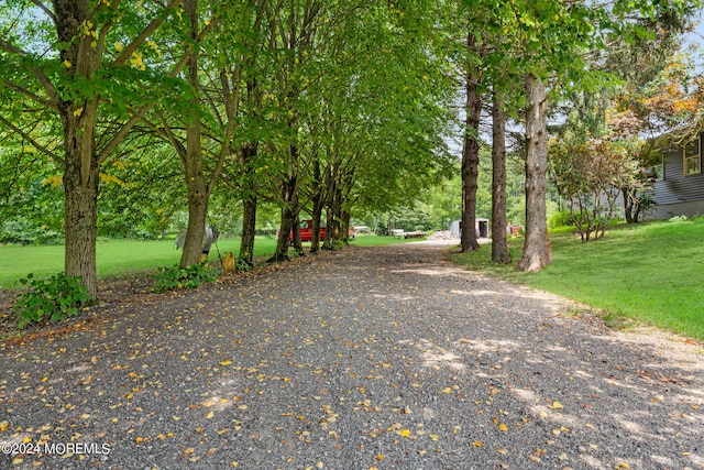 surrounding community featuring a yard