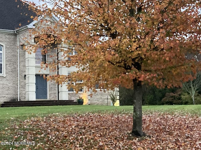 view of community with a yard