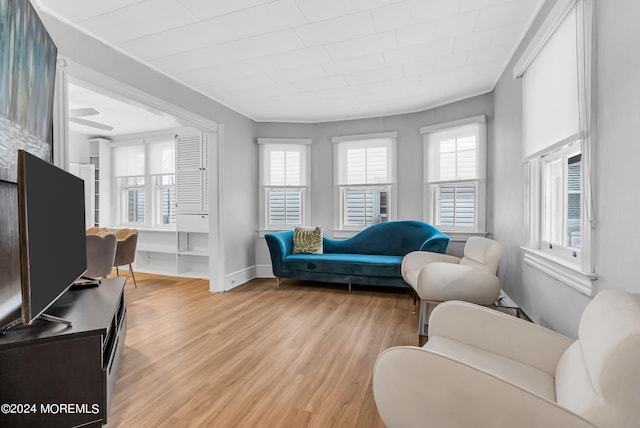 living room featuring a wealth of natural light and light wood-type flooring