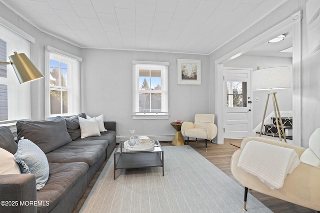 living area with wood finished floors and a wealth of natural light