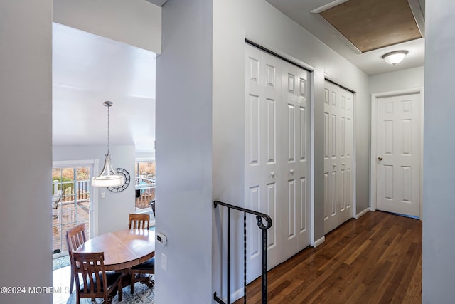 hallway featuring dark wood-type flooring