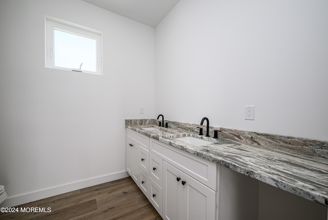 bathroom with vanity, wood-type flooring, and toilet