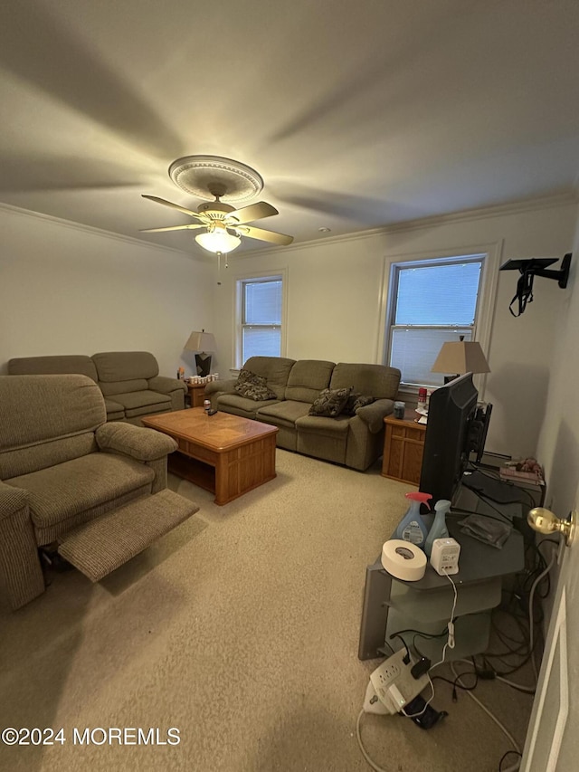 carpeted living room featuring ceiling fan and crown molding