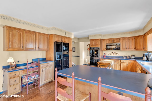 kitchen with sink, light hardwood / wood-style floors, and black appliances