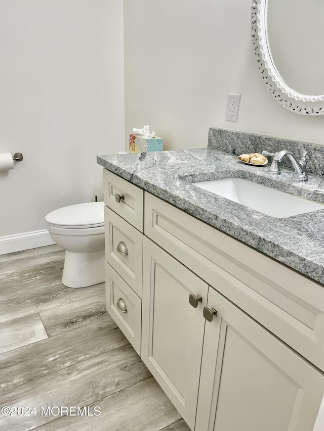 bathroom with wood-type flooring, vanity, and toilet