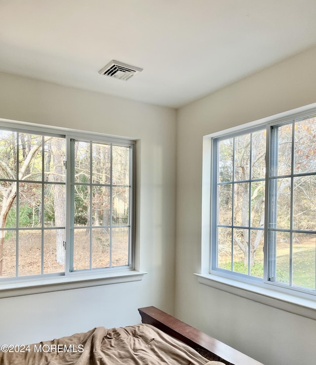 bedroom with multiple windows