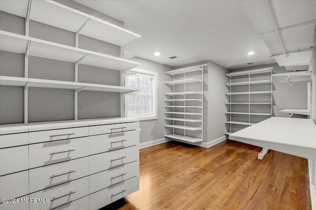 spacious closet featuring wood-type flooring