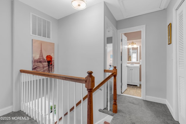 hallway with carpet floors