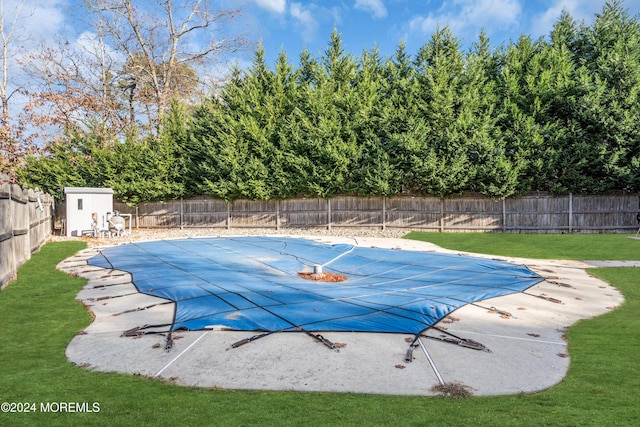 view of swimming pool with a yard, a patio, and a shed