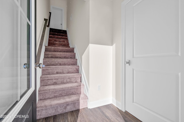 staircase featuring wood-type flooring