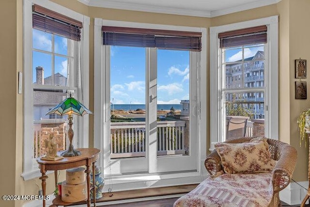 doorway featuring crown molding and hardwood / wood-style flooring