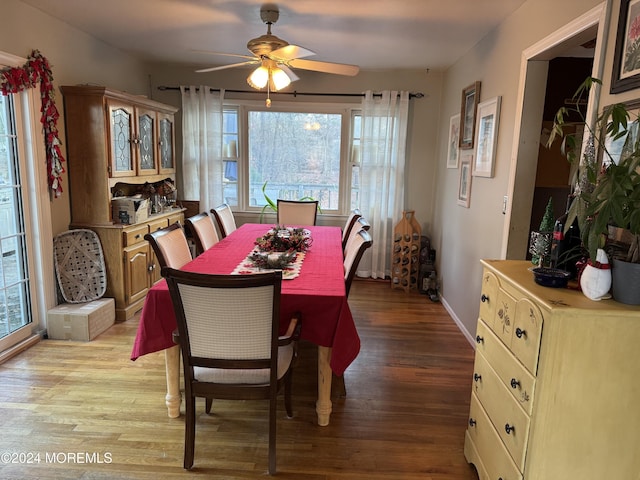 dining space with ceiling fan and light wood-type flooring