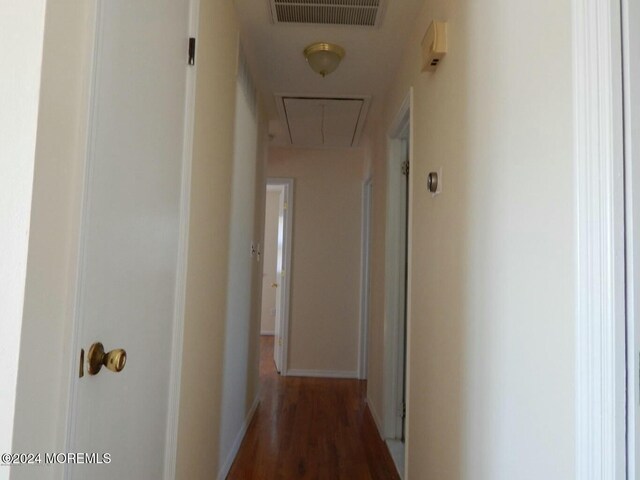 hallway featuring dark hardwood / wood-style flooring