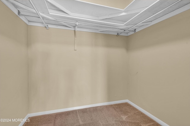 walk in closet featuring carpet flooring