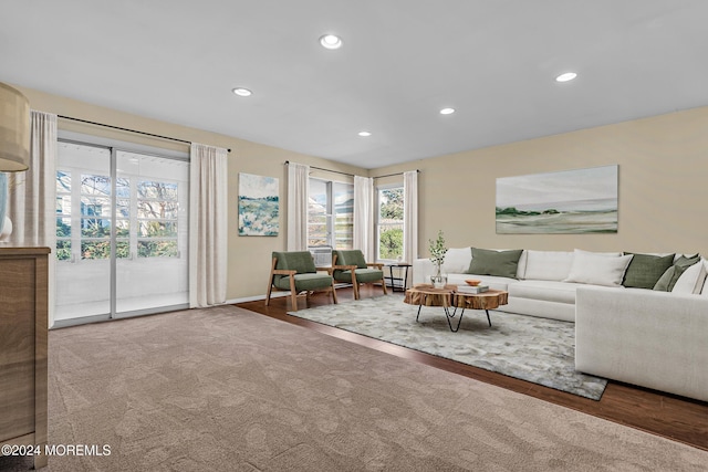 living room with wood-type flooring