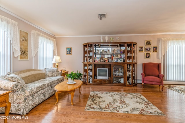 living room with hardwood / wood-style floors, a baseboard radiator, and crown molding