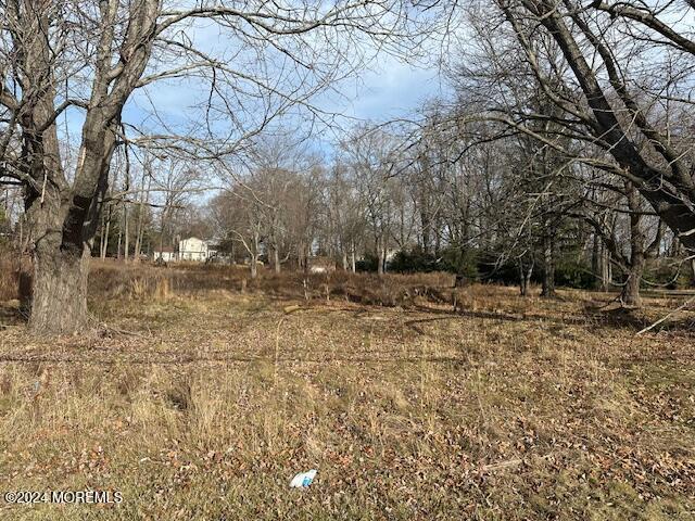 Listing photo 3 for 148 Freehold Rd, Manalapan NJ 07726