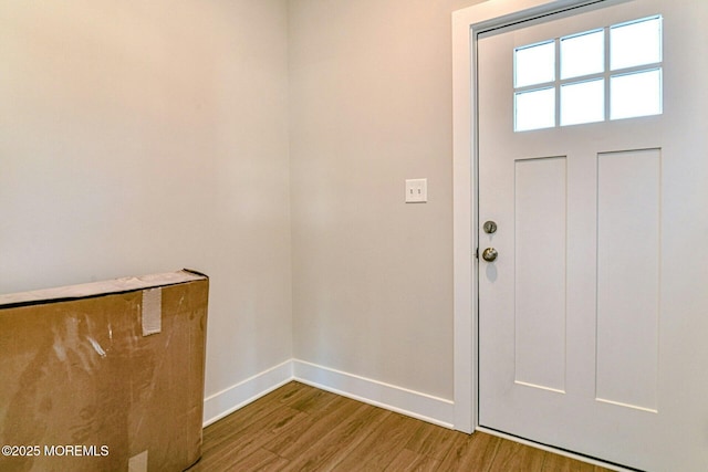 foyer entrance featuring wood-type flooring