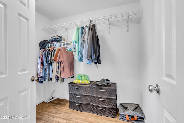 spacious closet featuring wood-type flooring