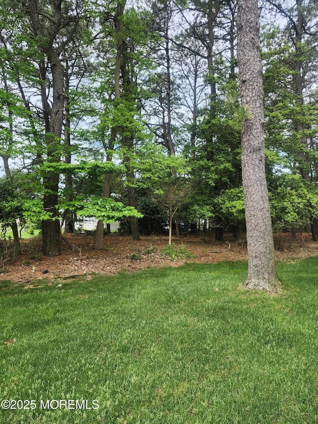 33 Penwood Dr Unit 55, Whiting, NJ 08759 - view of green lawn