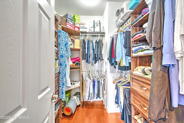 spacious closet featuring wood finished floors